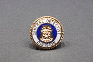 Pin - Central Det. Div.