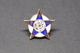 Pin - FOP Star