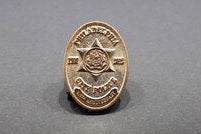Pin - City Police